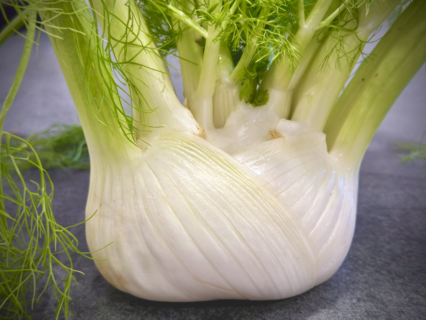 primer plano de un hinojo muy fresco que se aprecia el detalle